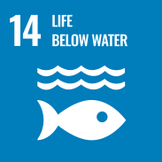 SDGs - LIFE BELOW WATER