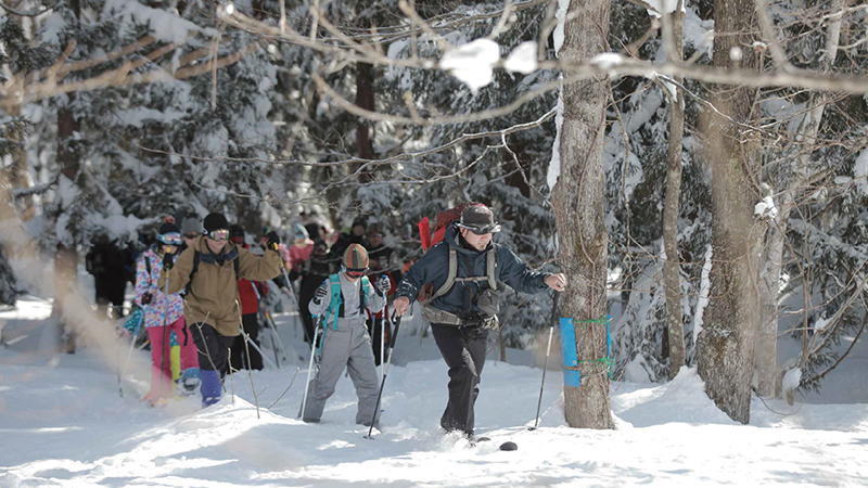 Wear snowshoes and walk on the snow around Imori Pond to experience the natural environment of the silver world and the life of wild animals. (Myoko City)